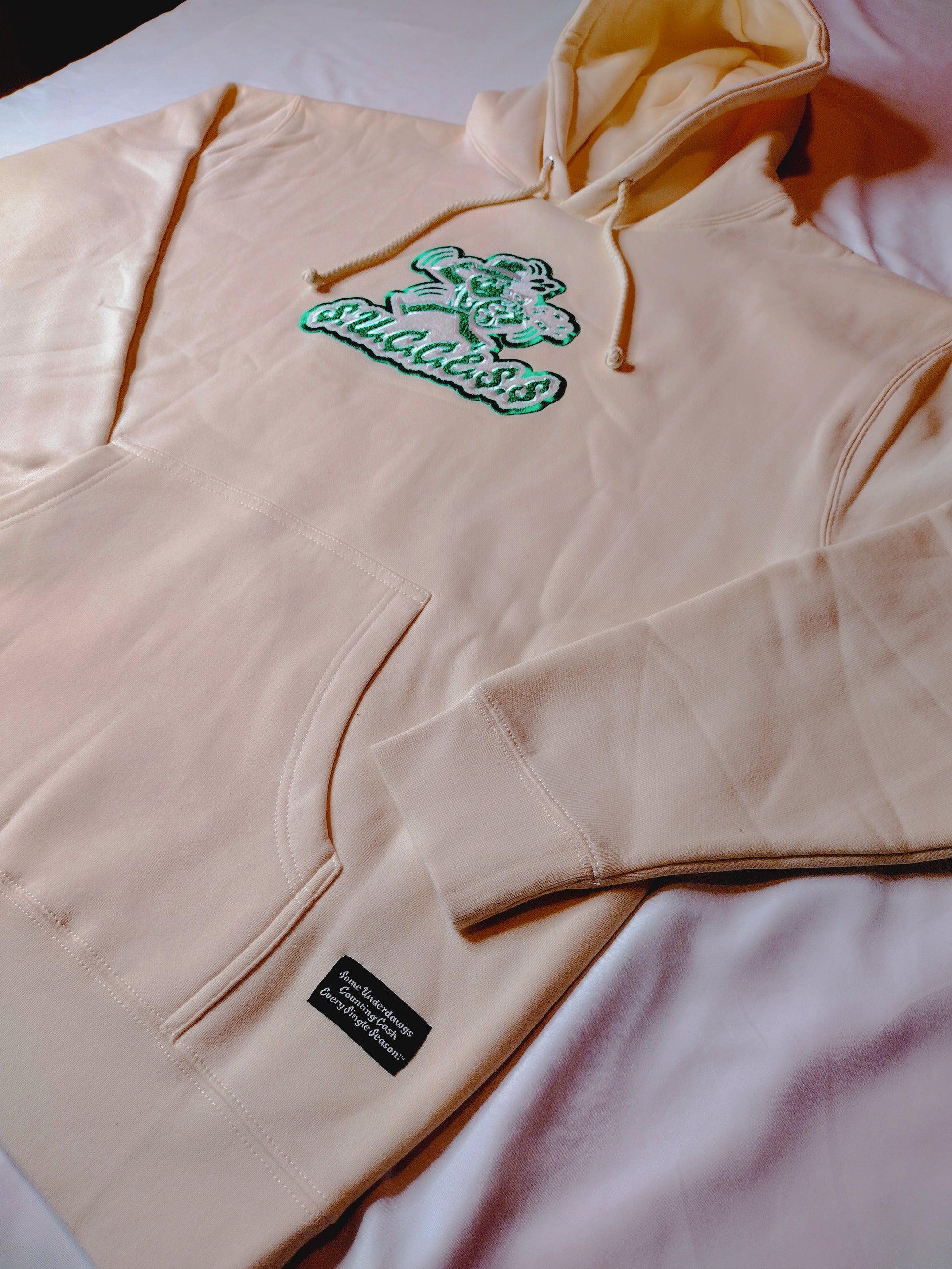 Graphic Pullover Hoodie | Long Sleeve Hoodie | Officialsuccessattire