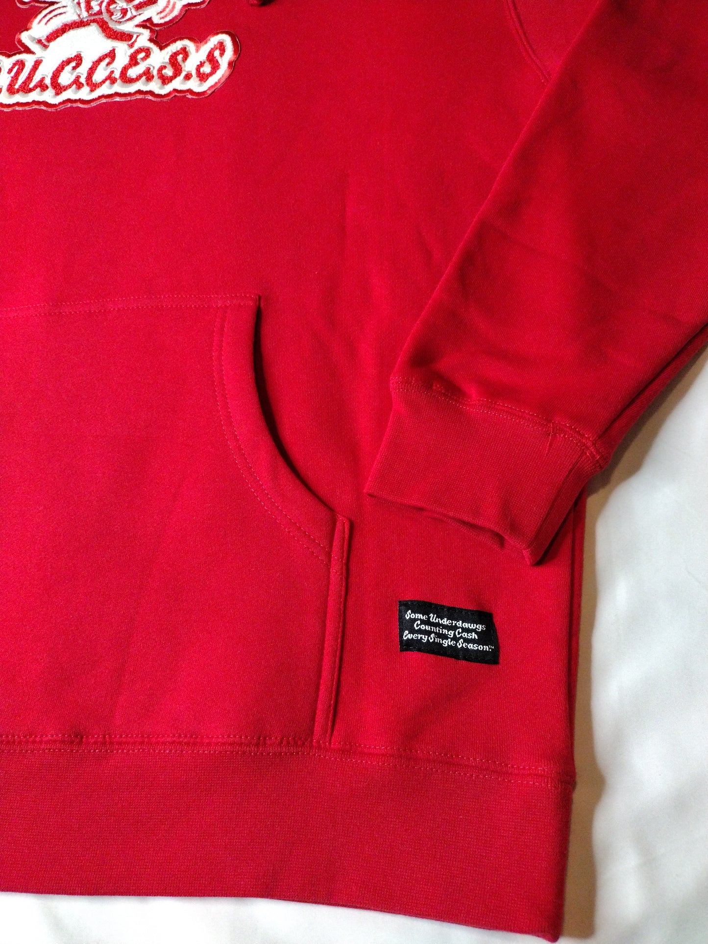 Heavyweight Cotton Hoodie | Pullover Hoodie | Officialsuccessattire